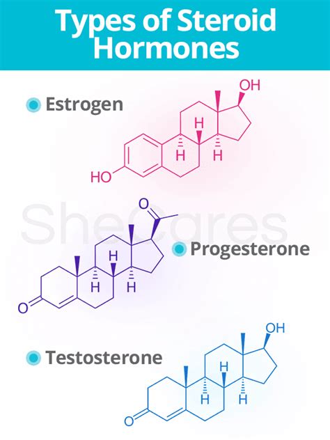 what are steroids hormones most similar to